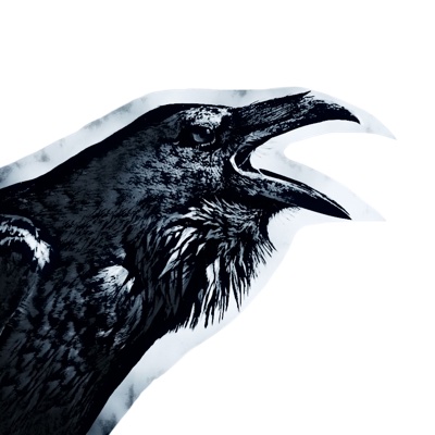 raven logo